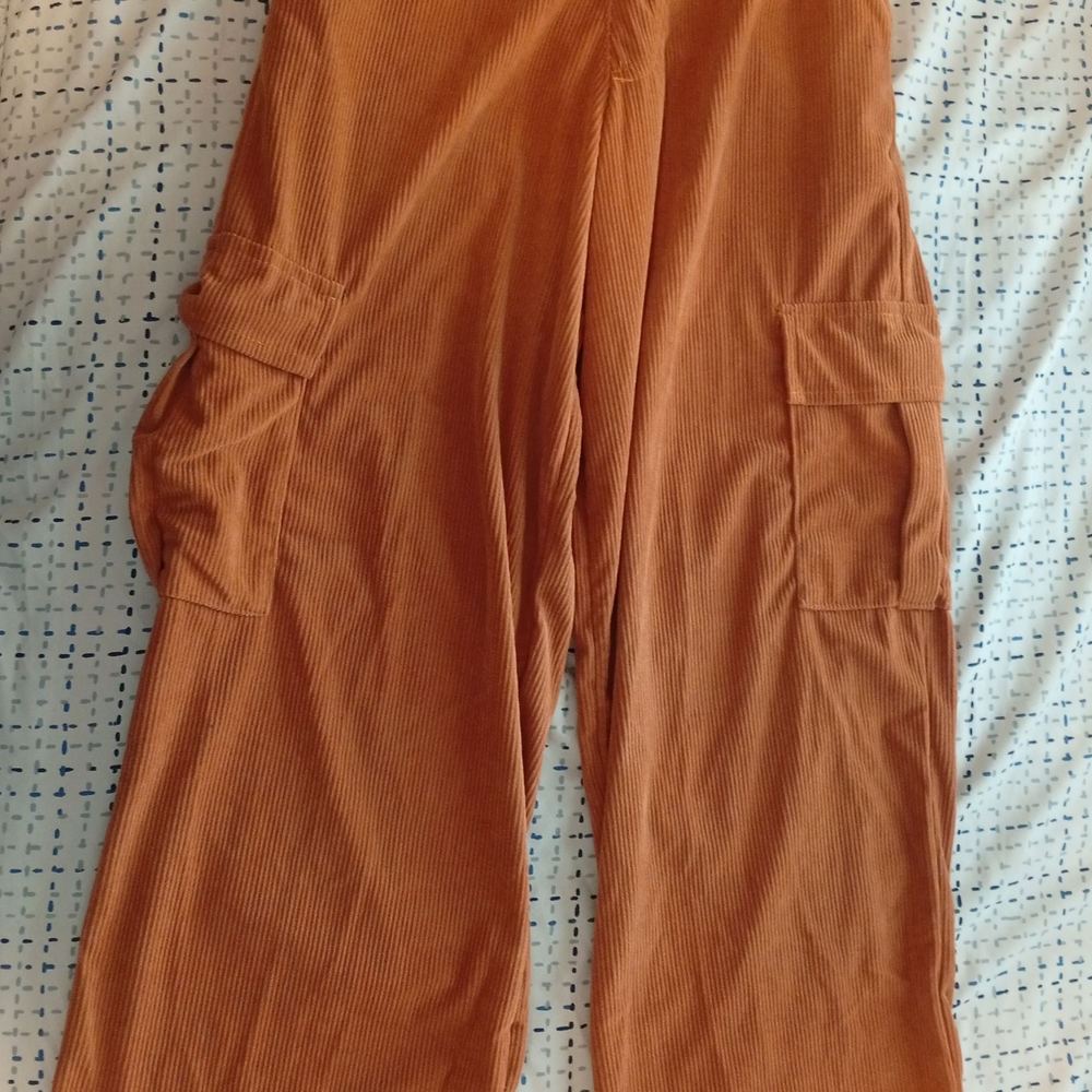 Zara Brown Wide Leg Pants